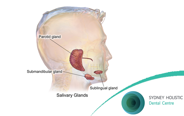 vitamins-for-good-oral-health-and-which-foods-to-find-them-in